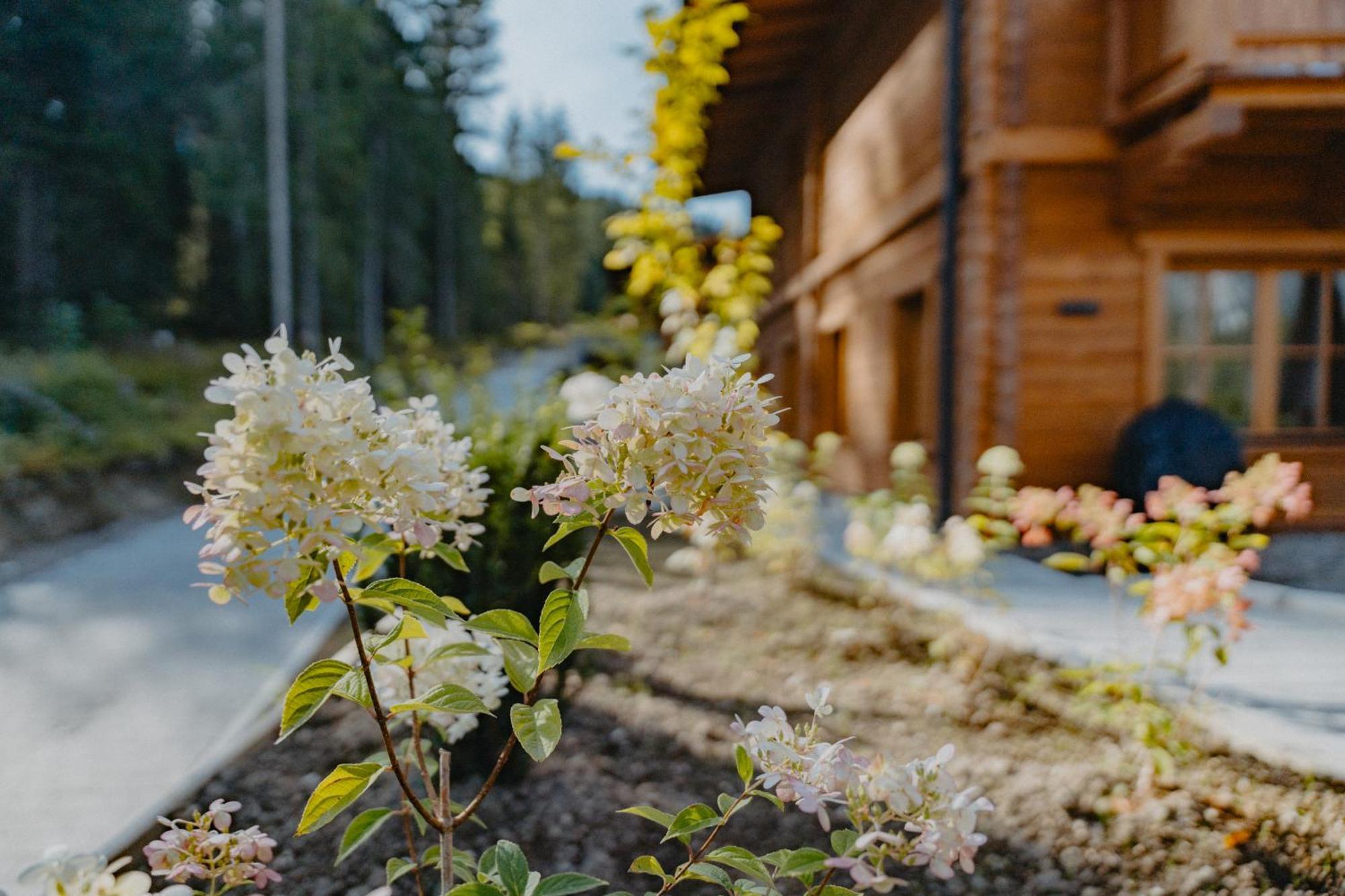 Sissi'S Green Chalets Лойташ Екстериор снимка