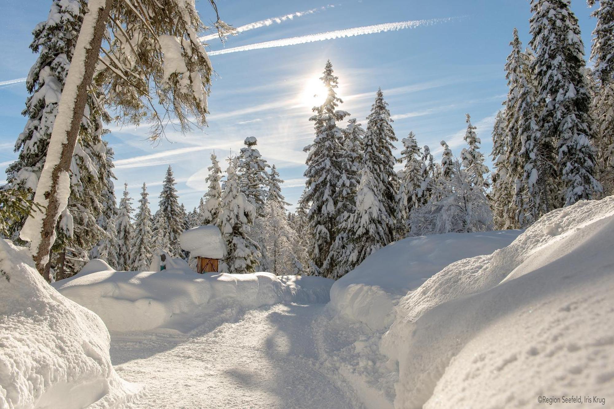 Sissi'S Green Chalets Лойташ Екстериор снимка